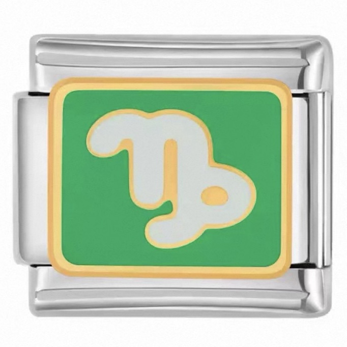 CappyBloom Charm (Capricorn)